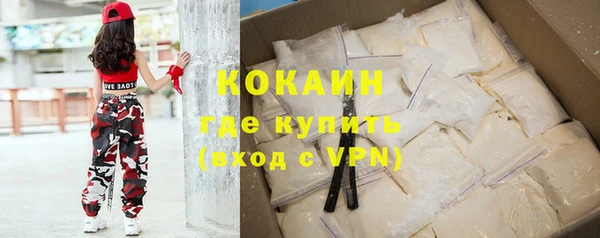 шишки Козельск