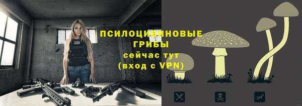 шишки Козельск