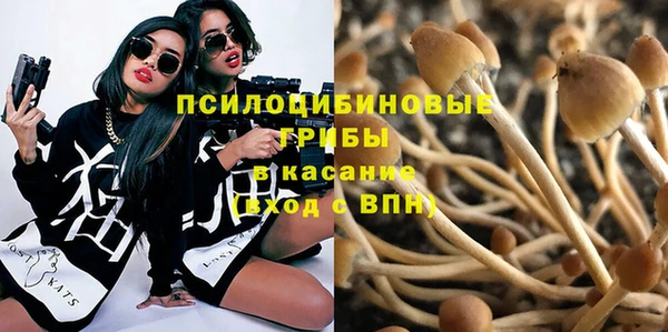 шишки Козельск