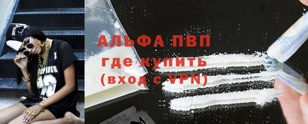 шишки Козельск