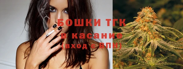 шишки Козельск
