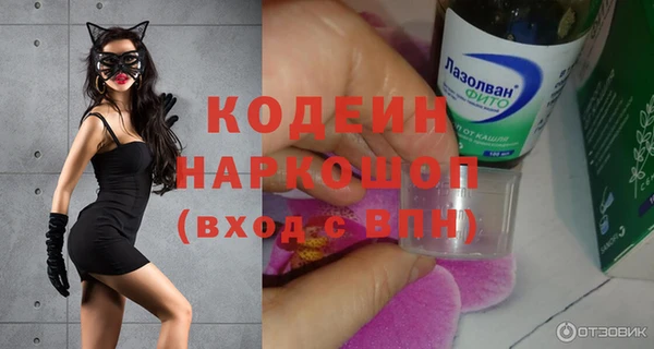 шишки Козельск